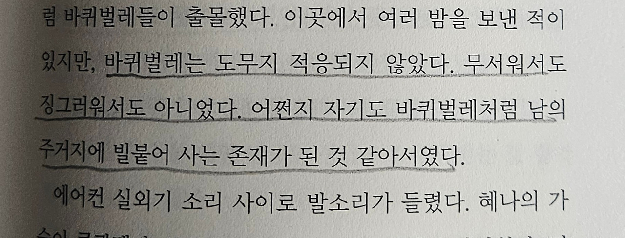 격리된 아이, 그 후2.jpg