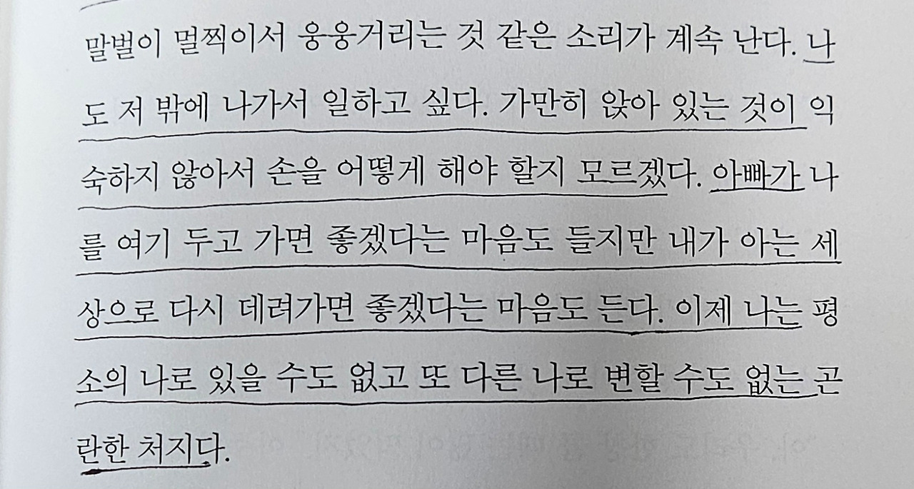 맡겨진 소녀2.jpg