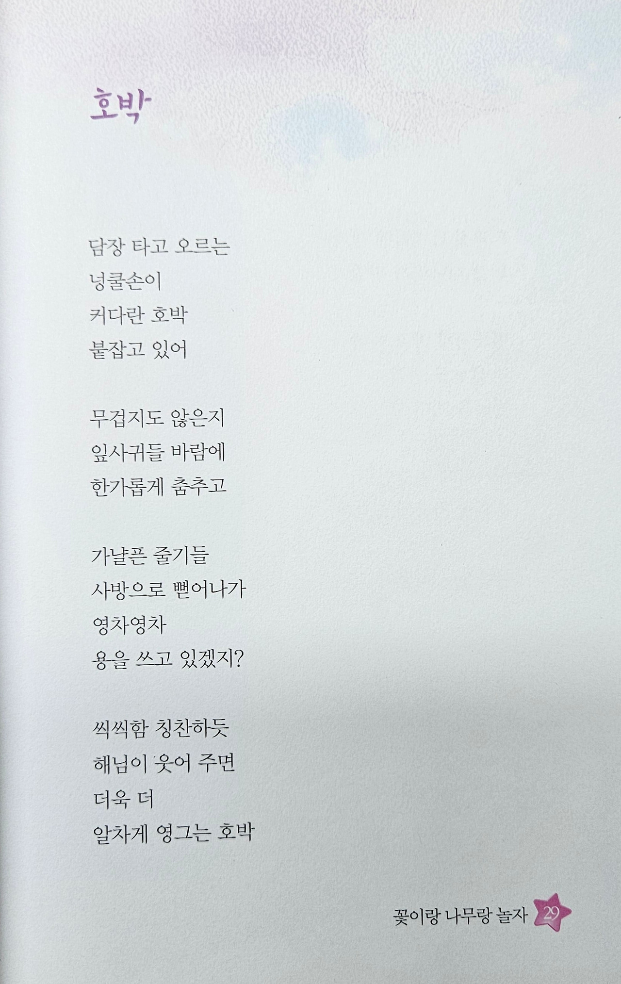 호박4.jpg