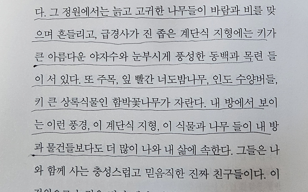 나무들3.jpg