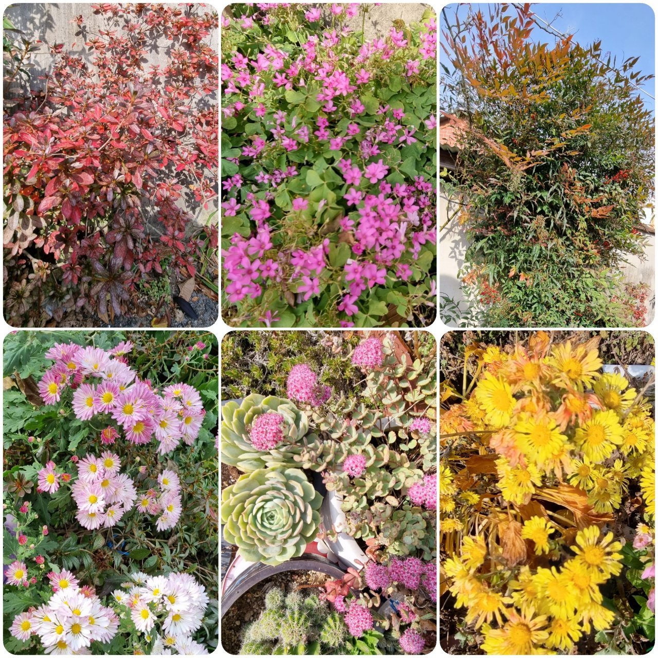 삶이 꽃피는 순간.jpg