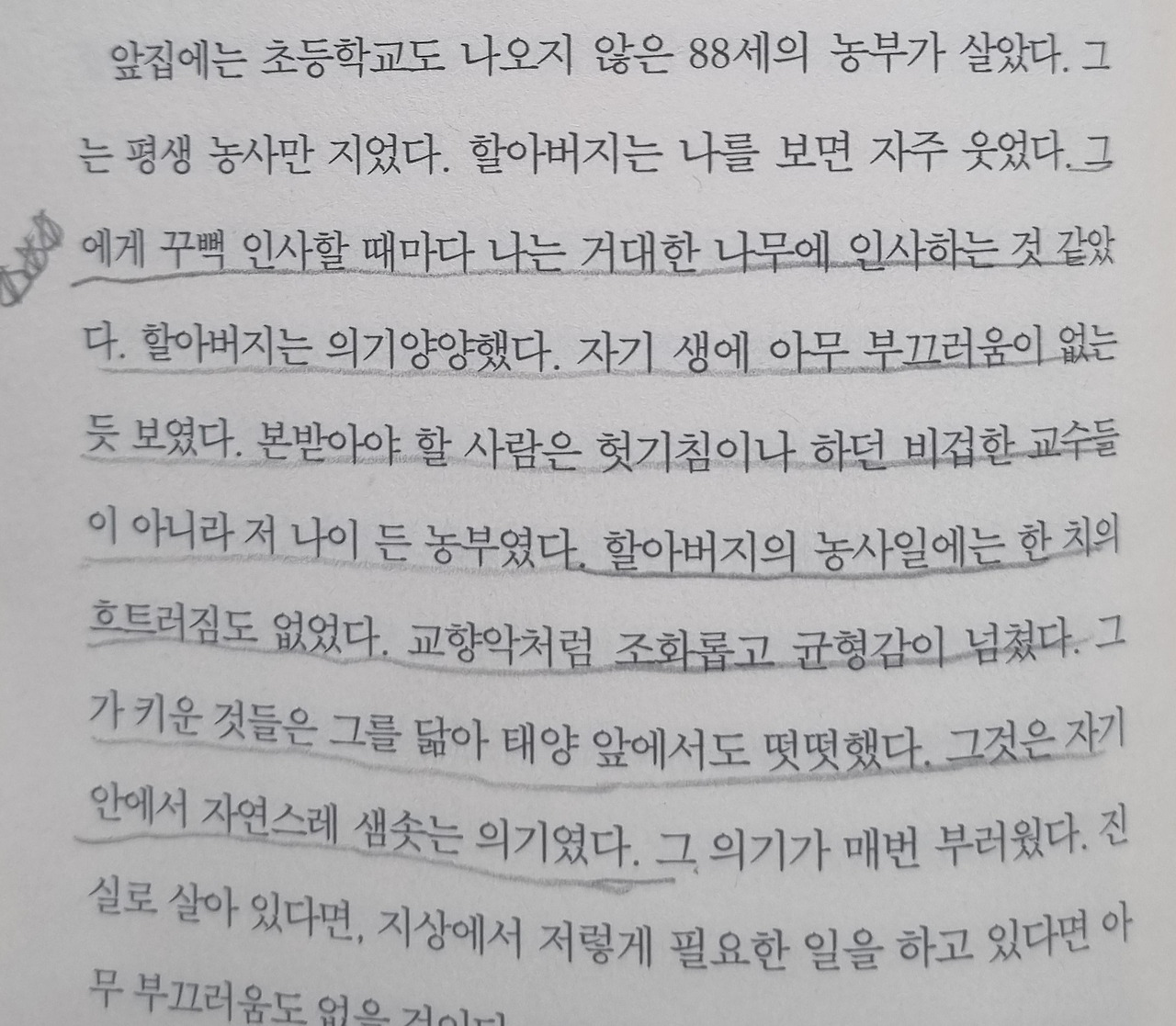 살아낸 시간이 살아갈 희망이다3.jpg