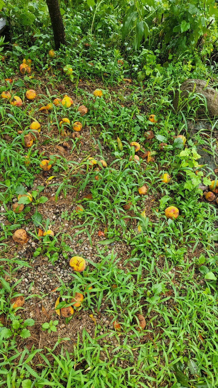 KakaoTalk_20230811_121451375 (1).jpg