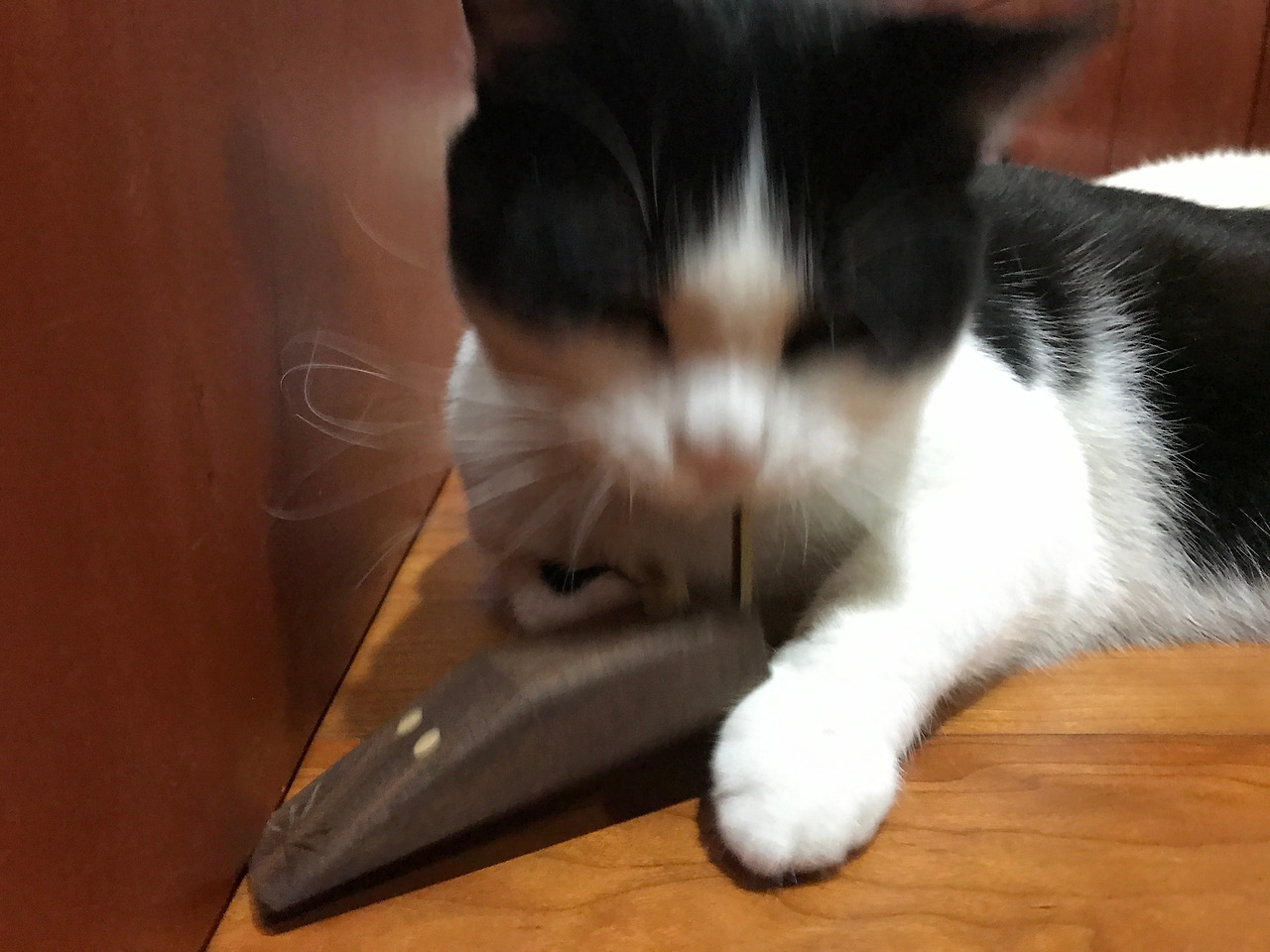 2020-06-15 22.04.46.jpg