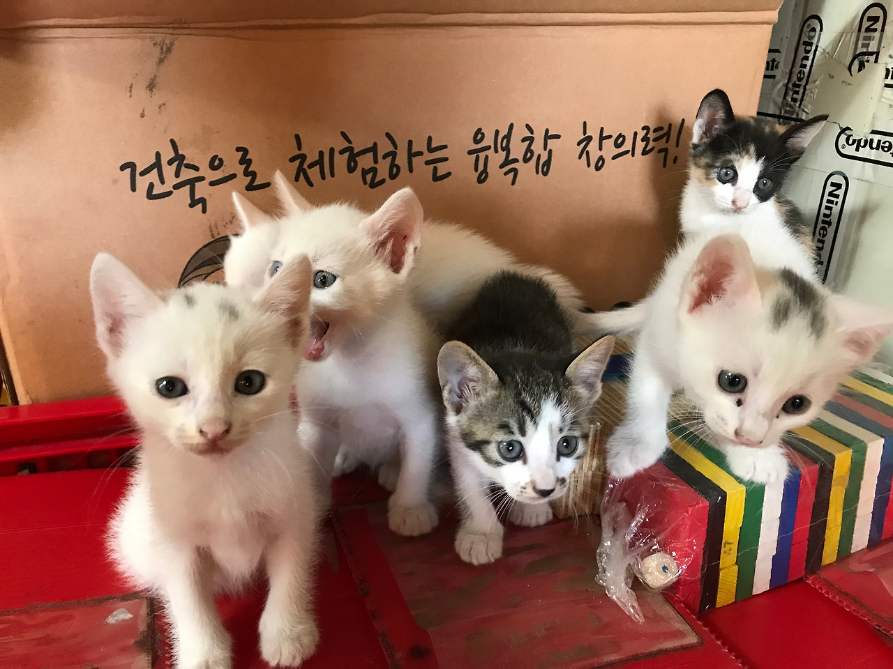 2019-08-30 10.10.57.jpg