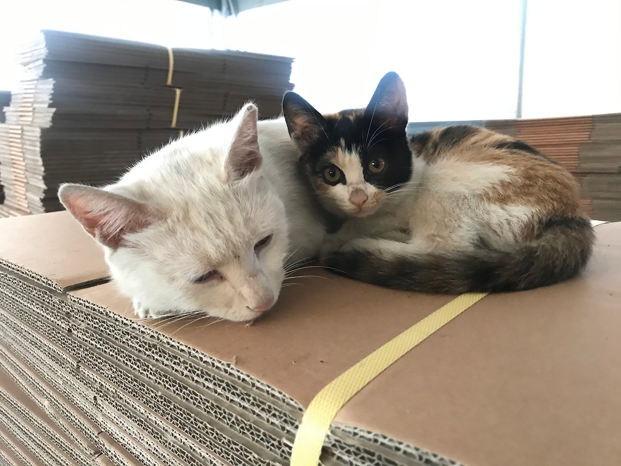 2019-10-20 11.59.55.jpg