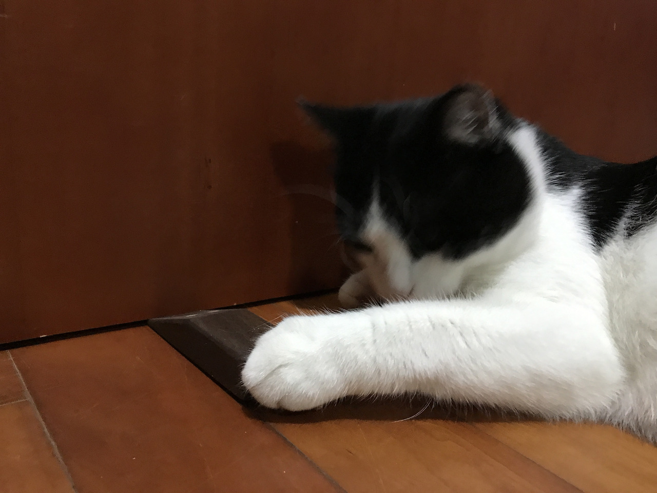 2020-06-15 22.03.50.jpg