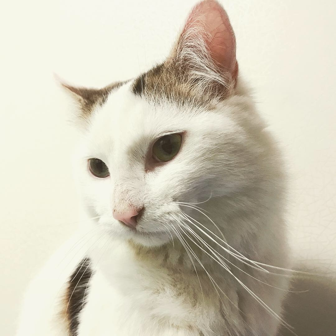 2018-11-29 22.16.34-1-1.jpg