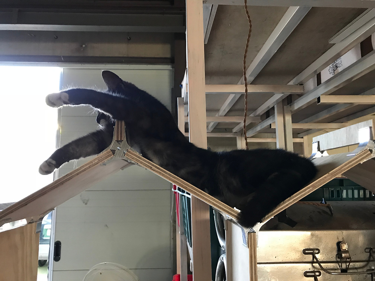 2018-07-16 18.04.00.jpg