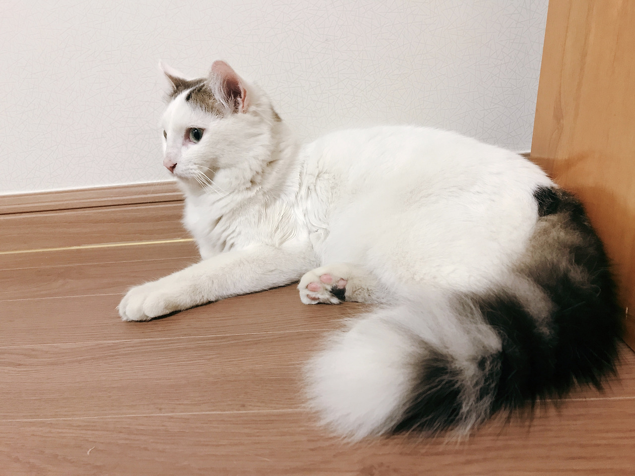 2018-11-29 21.06.45.jpg