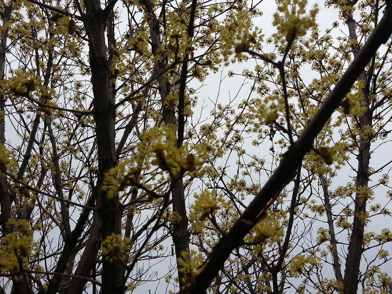 2016-04-03 13.34.18.jpg