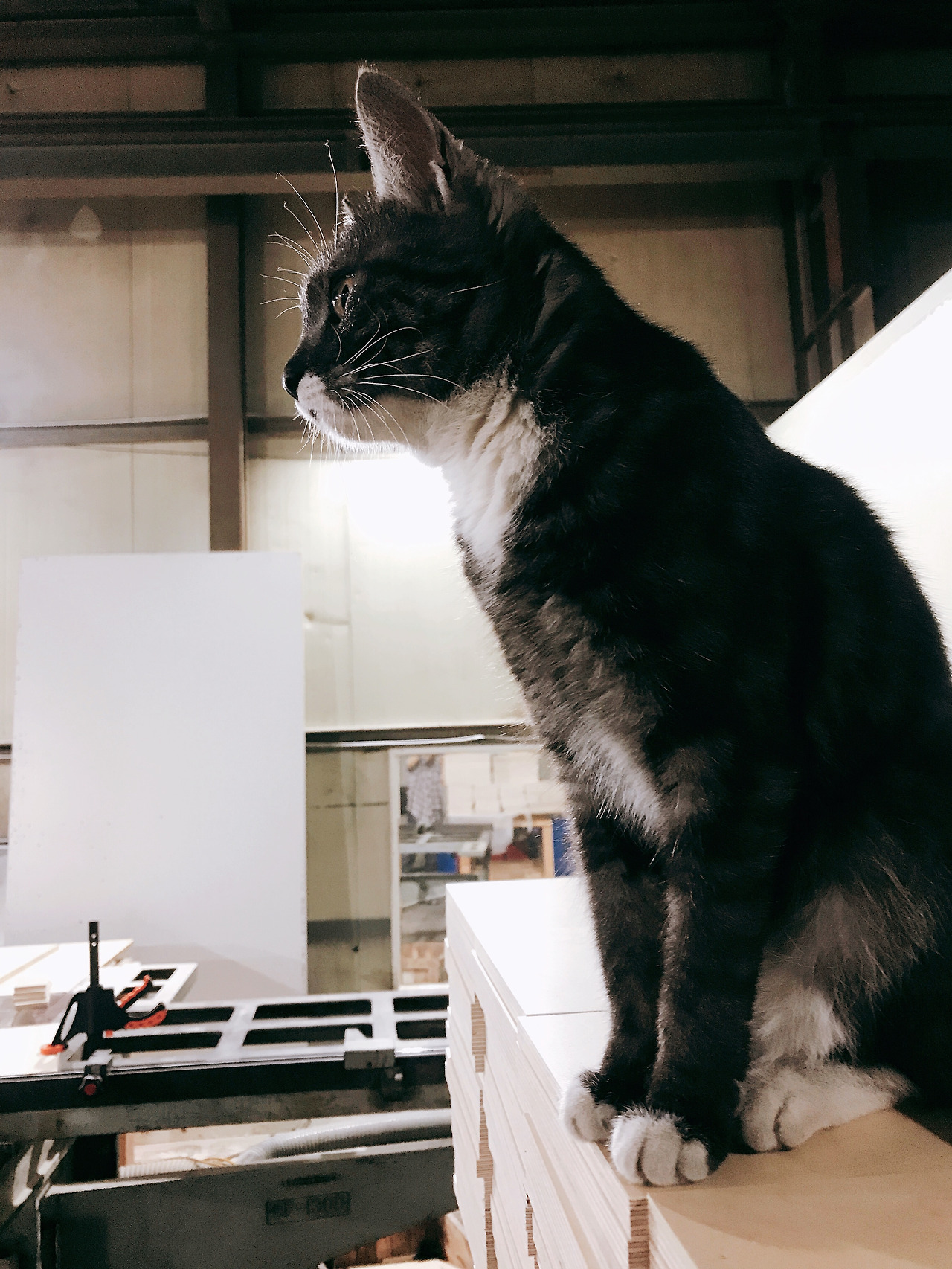 2018-07-02 22.40.42.jpg