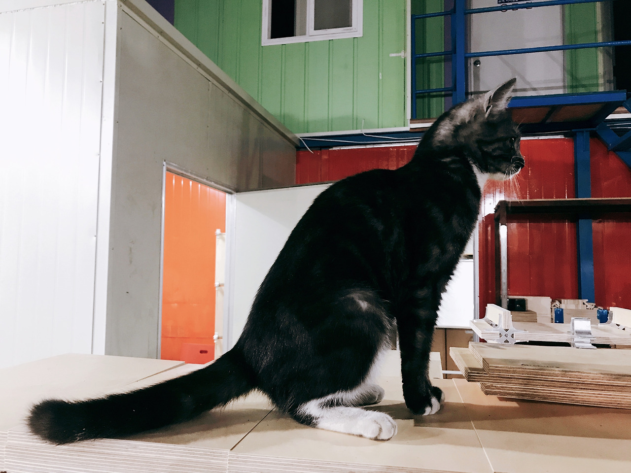 2018-07-02 22.41.17.jpg