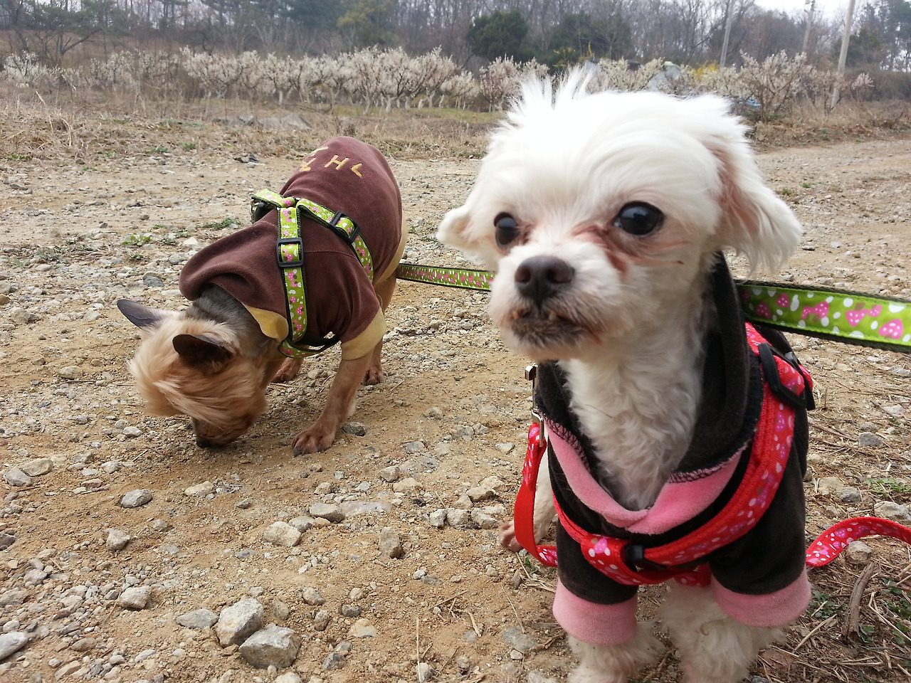 2016-04-03 11.12.05.jpg