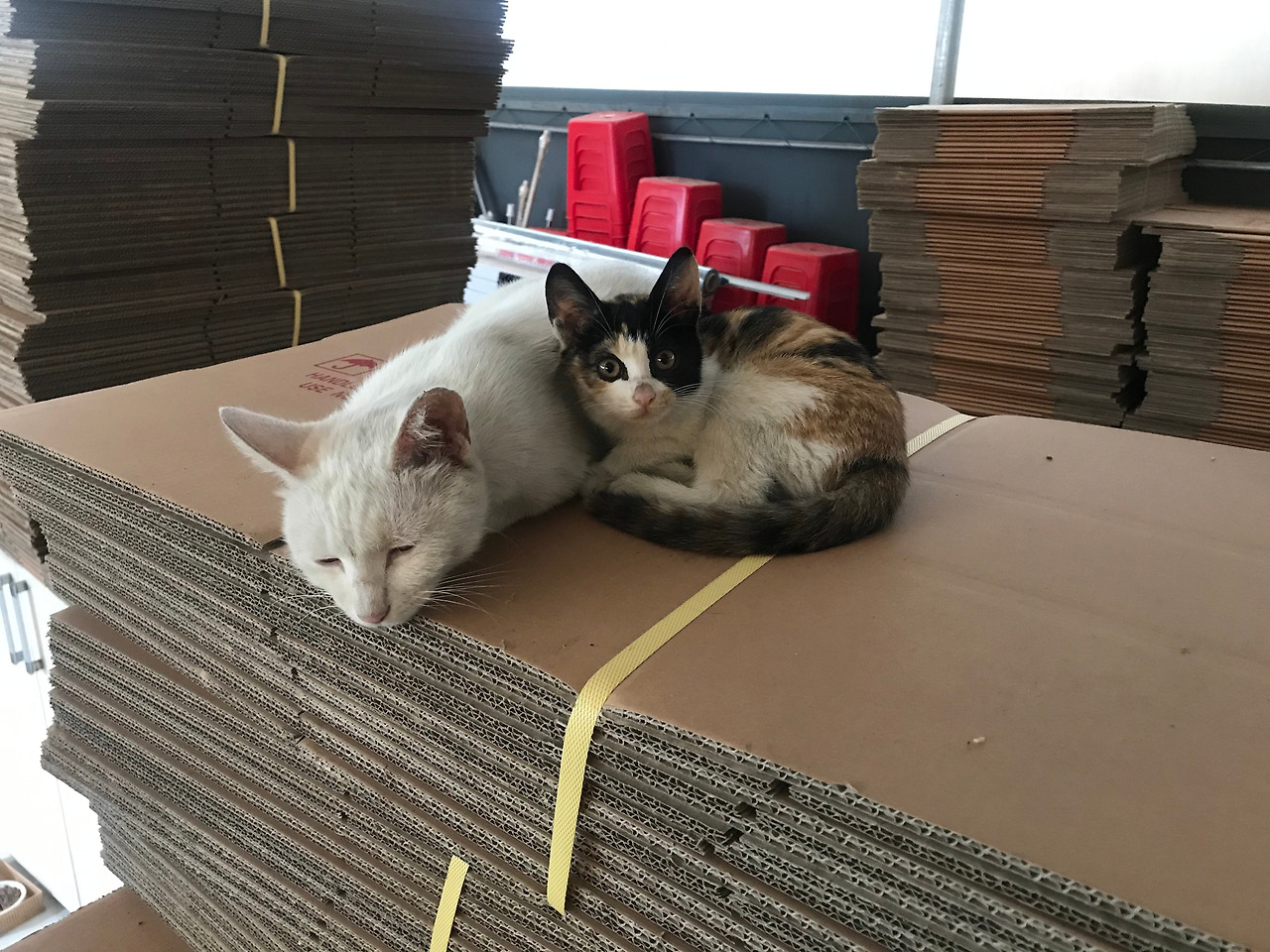 2019-10-20 11.59.49.jpg