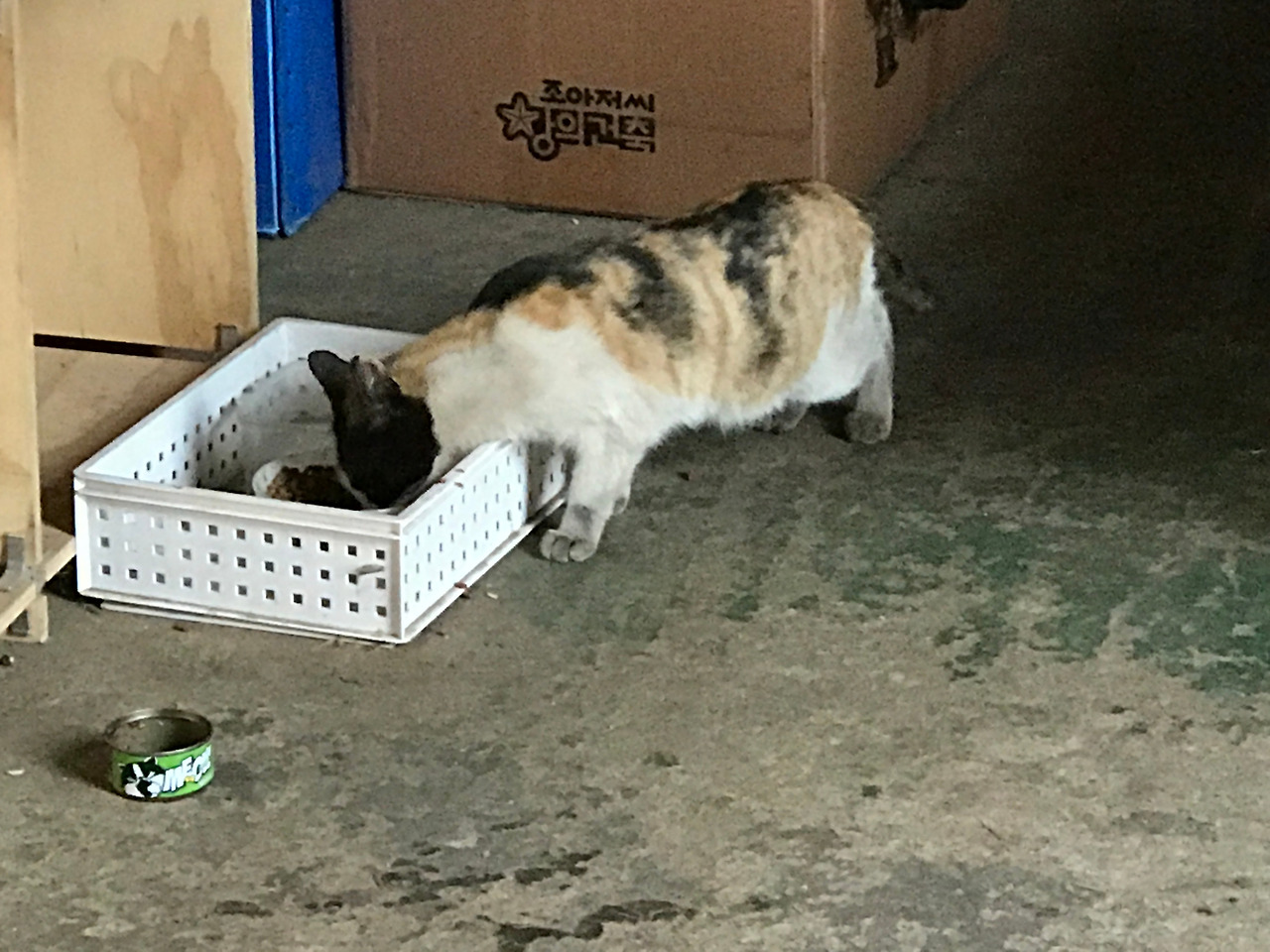 2020-05-30 17.51.45.jpg