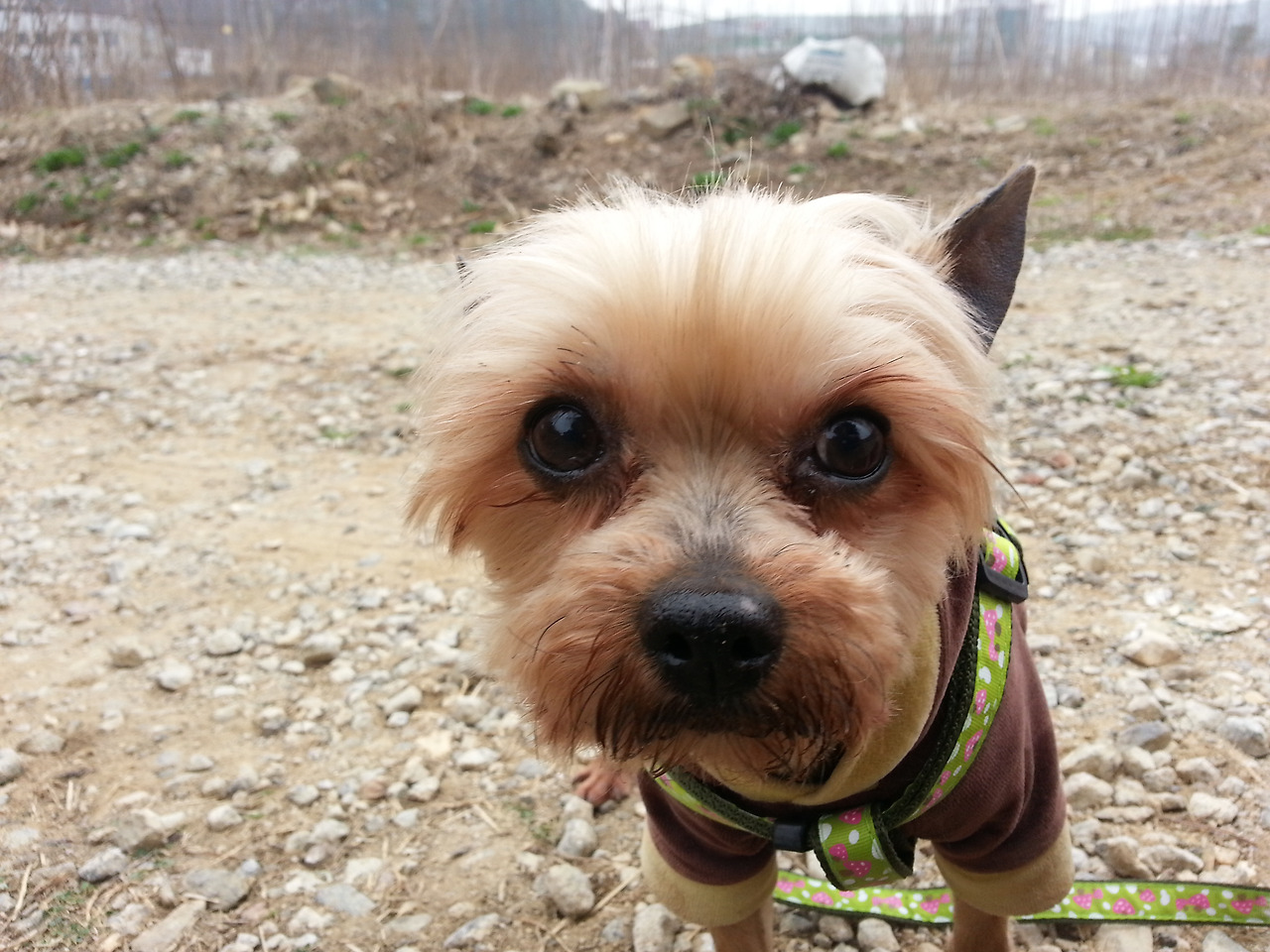 2016-04-03 11.12.17.jpg