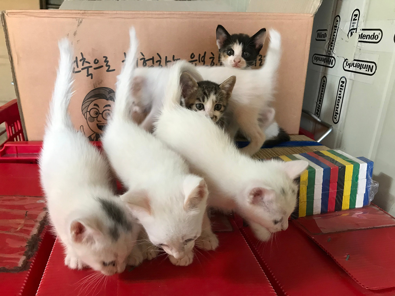 2019-08-30 10.12.35.jpg