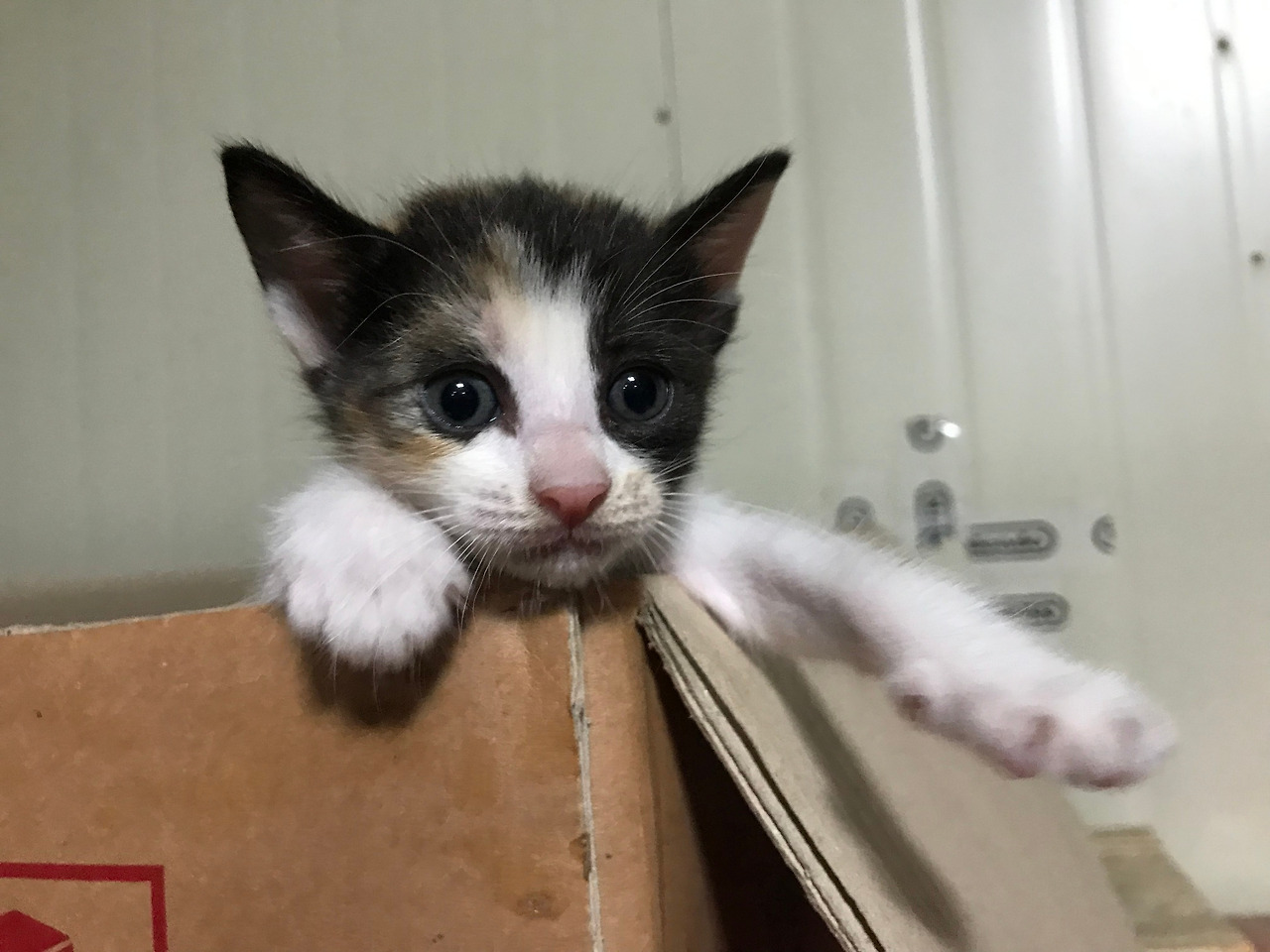 2019-08-23 20.34.35.jpg