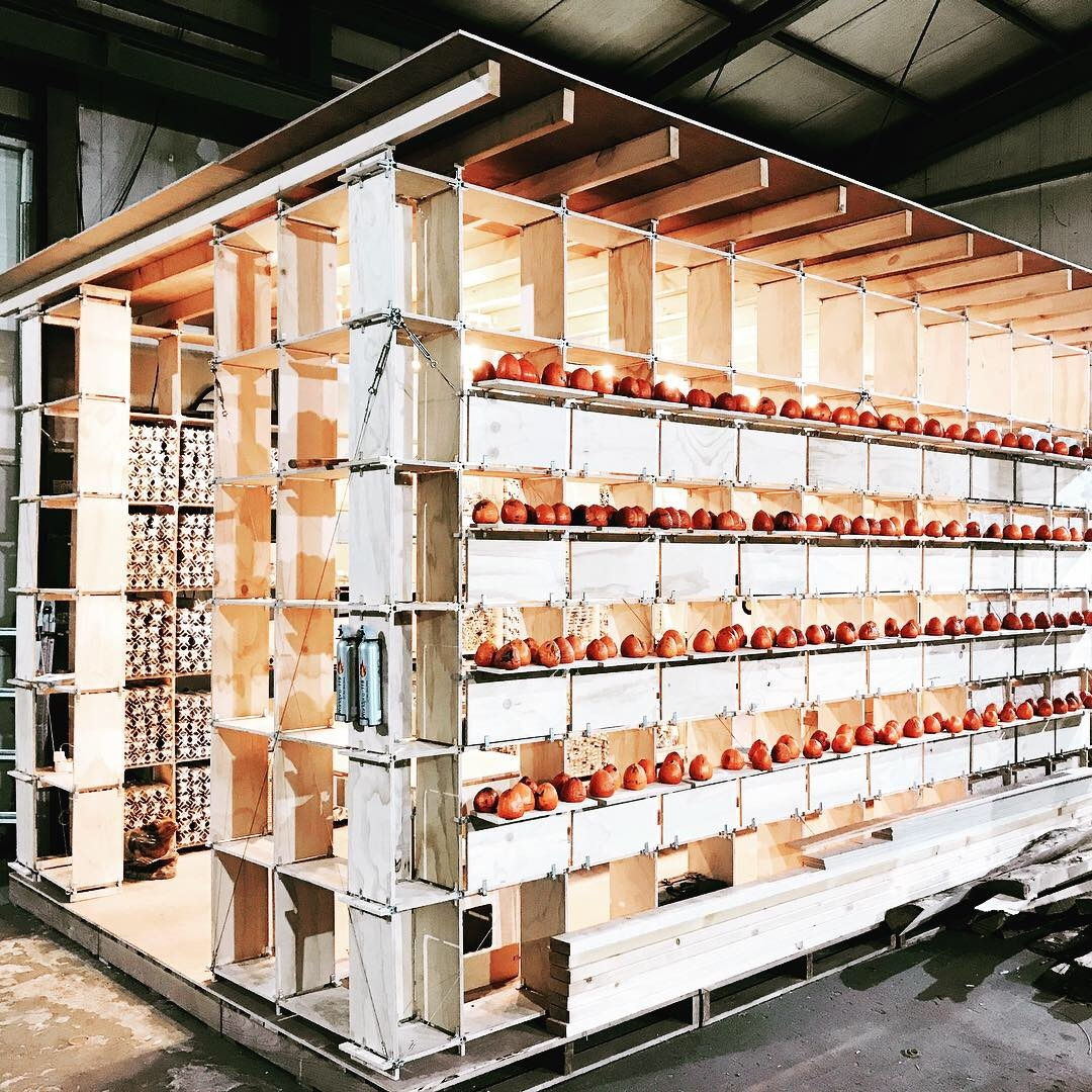 2018-12-01 20.16.42-1-1.jpg