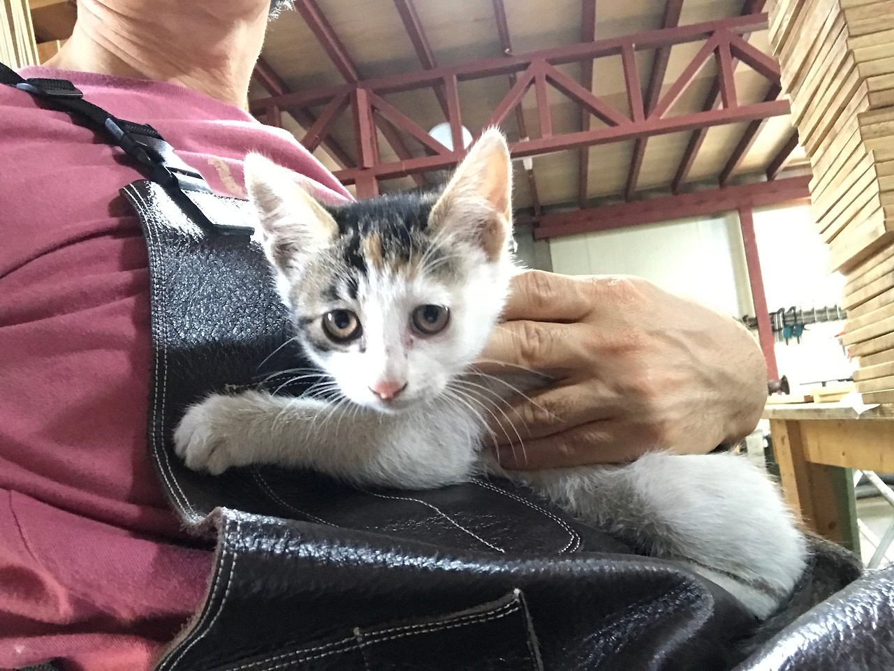 2019-06-05 15.29.56.jpg