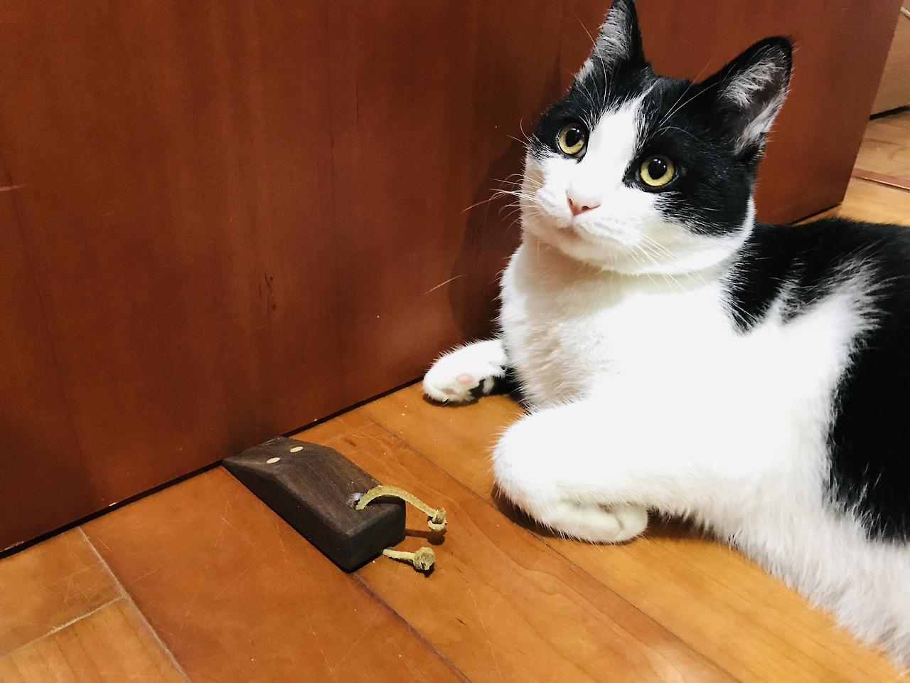 2020-06-15 22.03.25-1.jpg