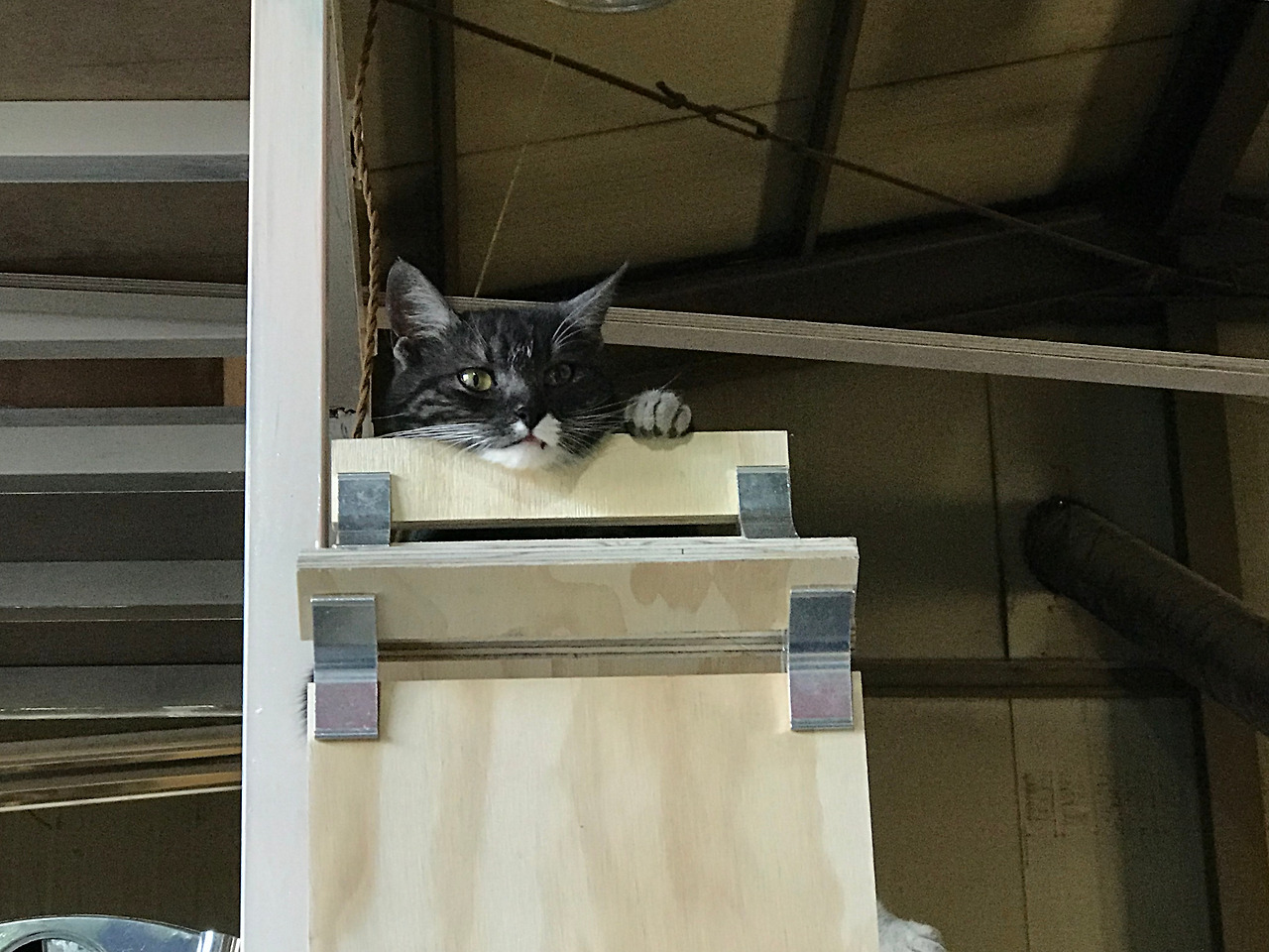 2018-07-16 18.11.16.jpg