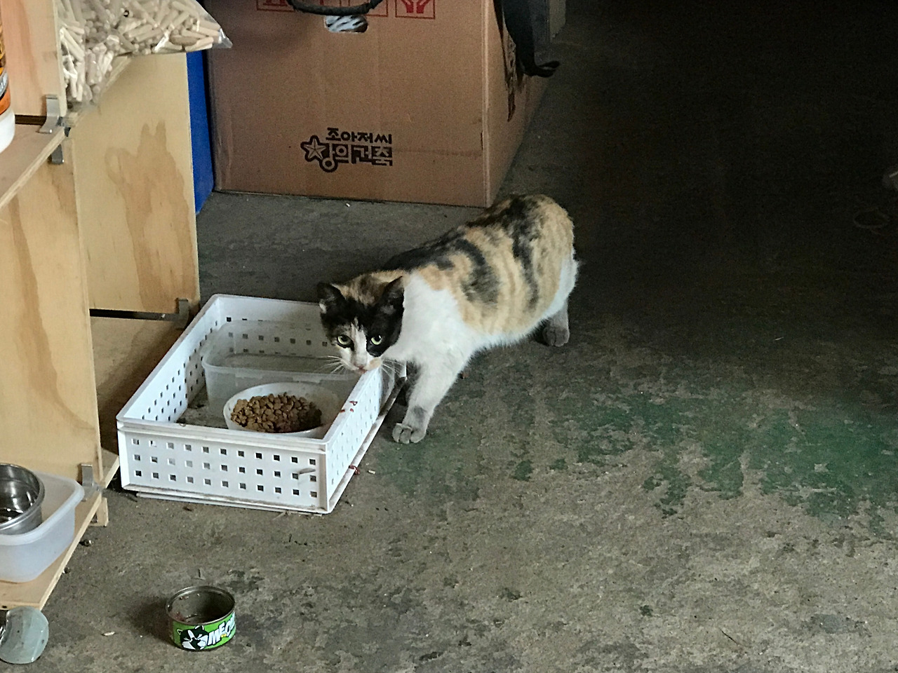 2020-05-30 17.51.57.jpg