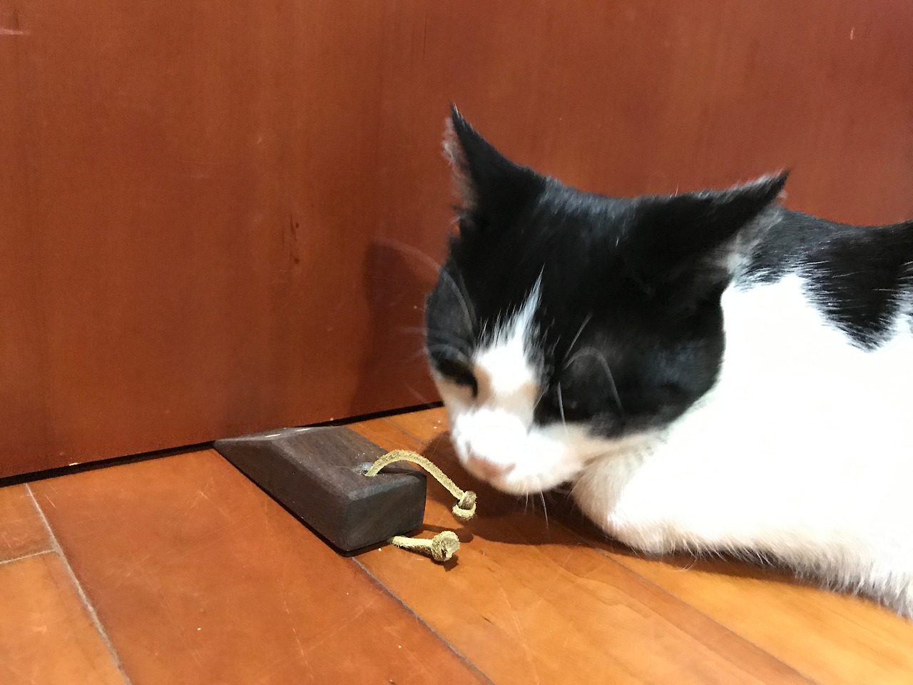 2020-06-15 22.03.57.jpg