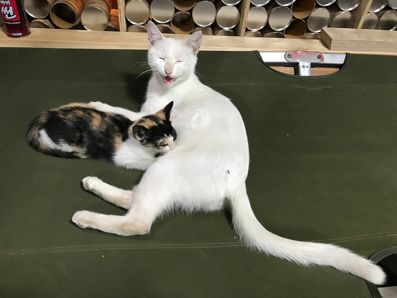 2019-09-17 20.47.04.jpg