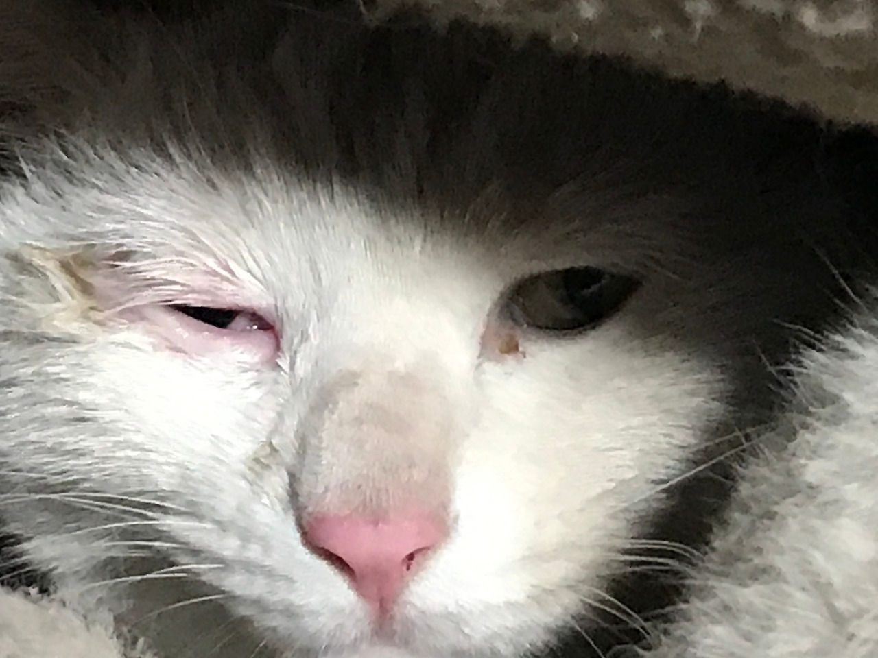 2020-04-23 17.02.33.jpg