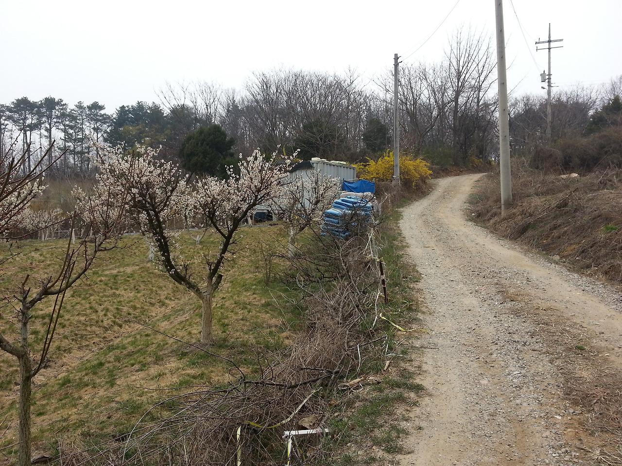 2016-04-03 11.08.56.jpg