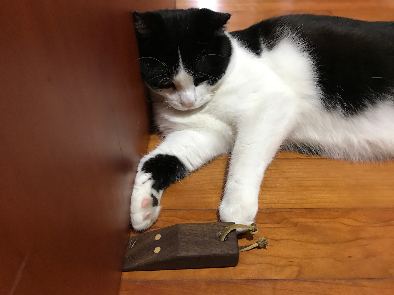 2020-06-15 22.04.37.jpg