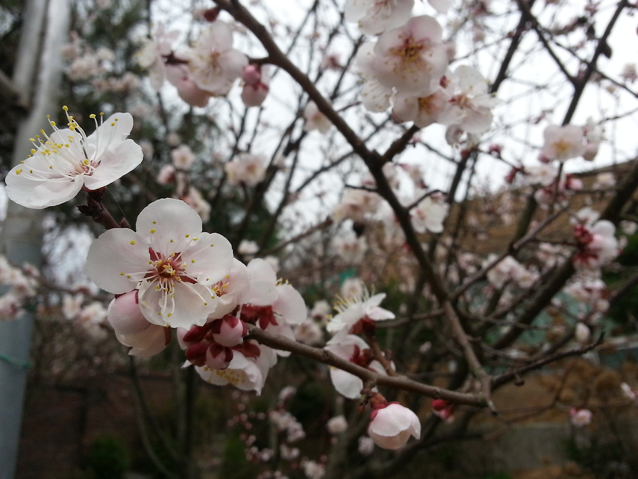 2016-04-03 13.34.57.jpg