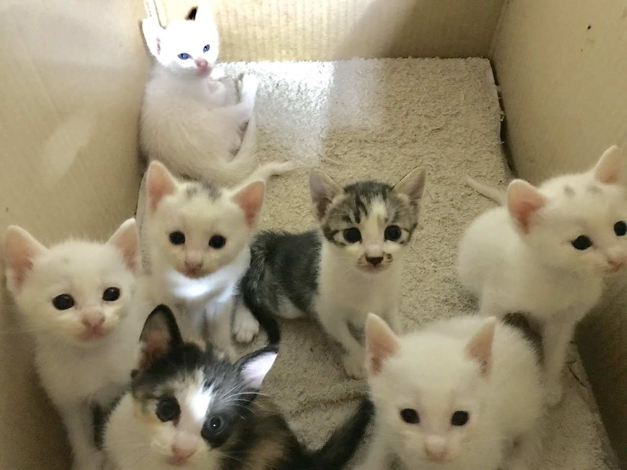 2019-08-23 20.51.32-1.jpg