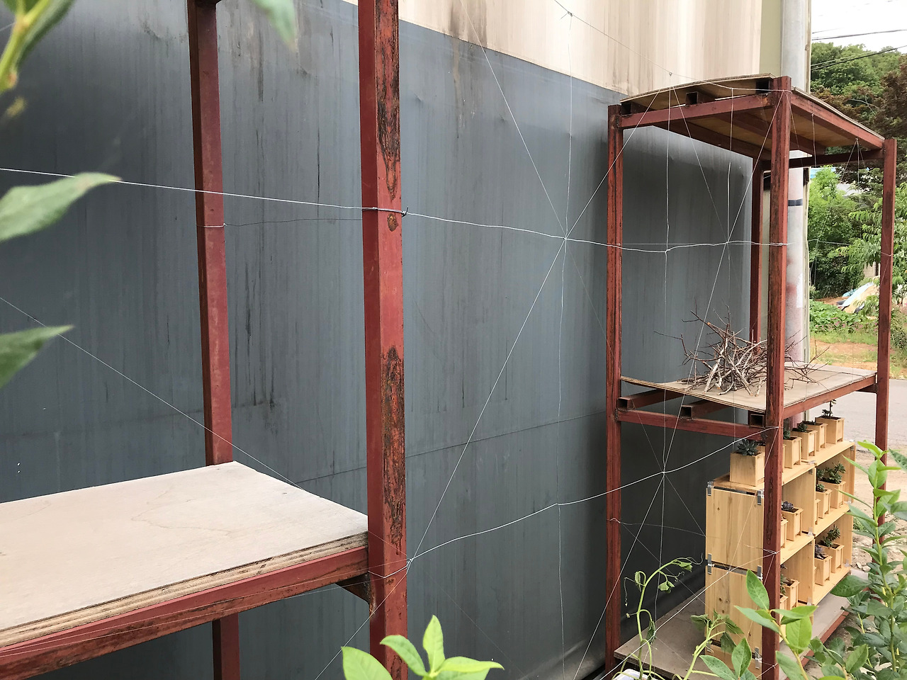 2019-07-09 14.00.28.jpg