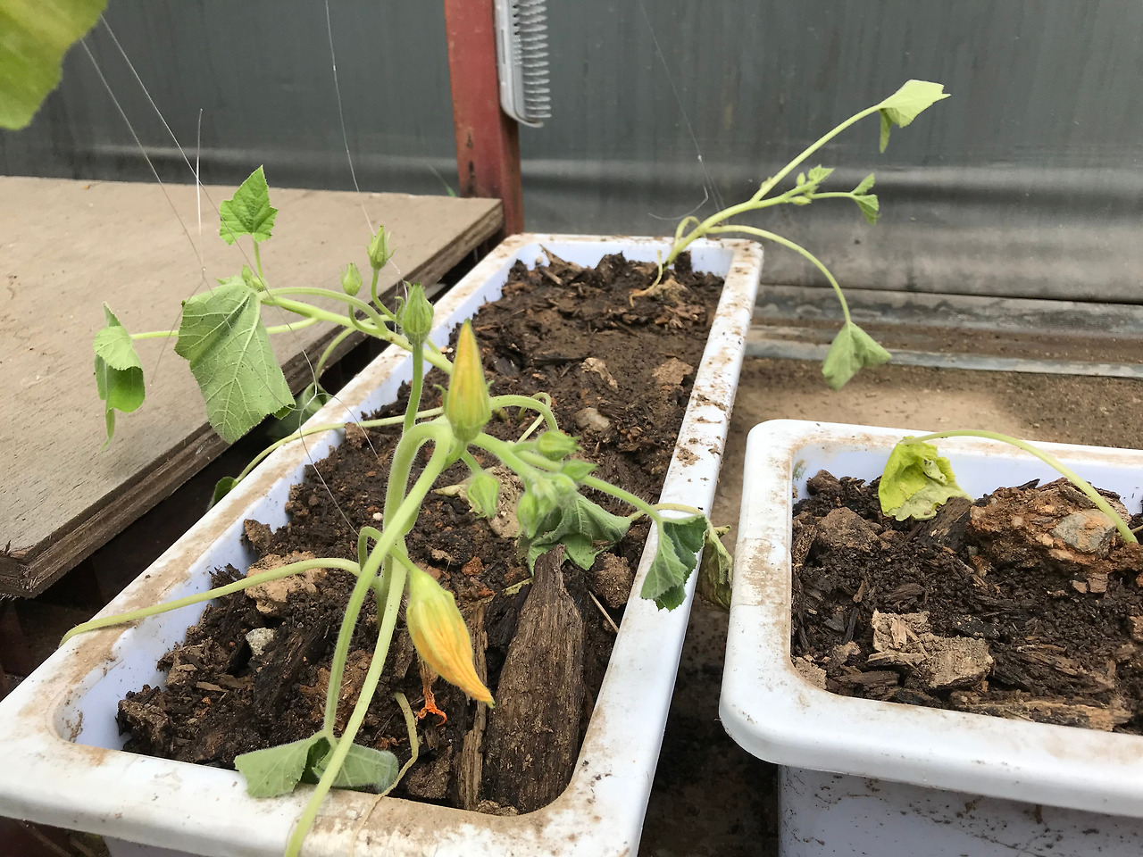 2019-07-09 14.00.51.jpg