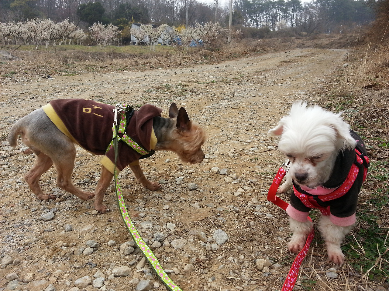 2016-04-03 11.13.03.jpg