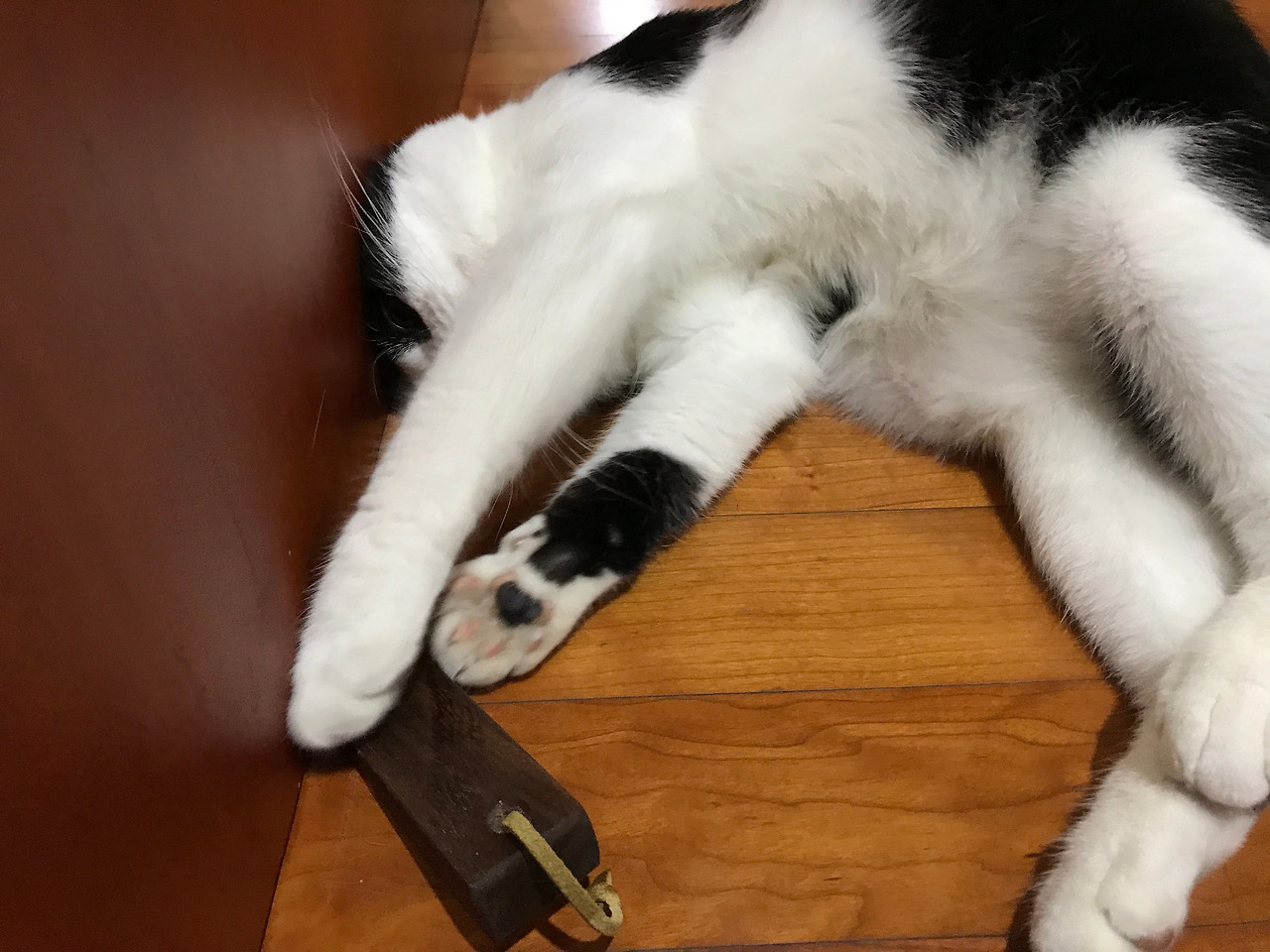 2020-06-15 22.05.02.jpg