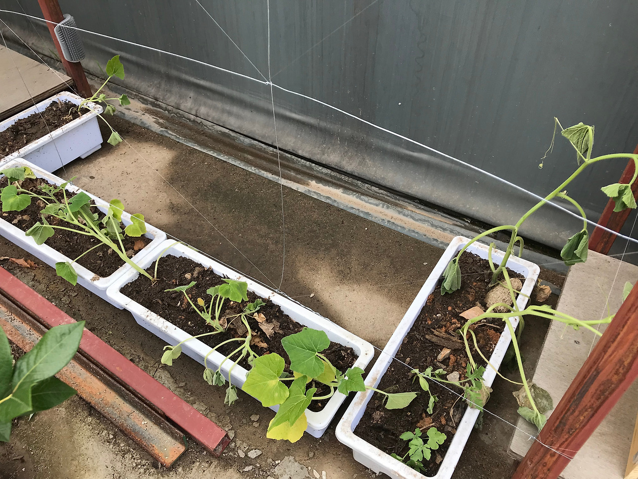 2019-07-09 14.00.09.jpg