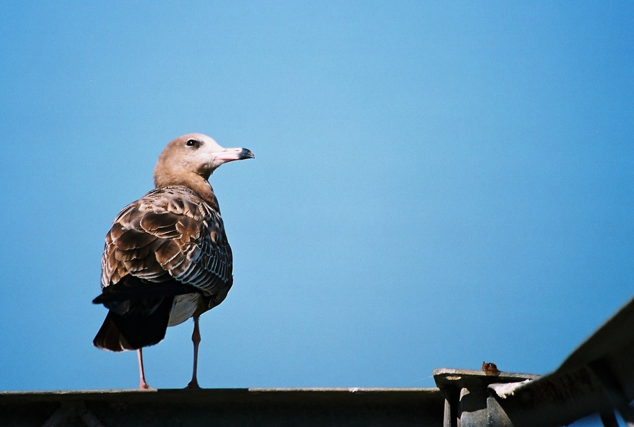 아득하게 바라보는 (2).jpg