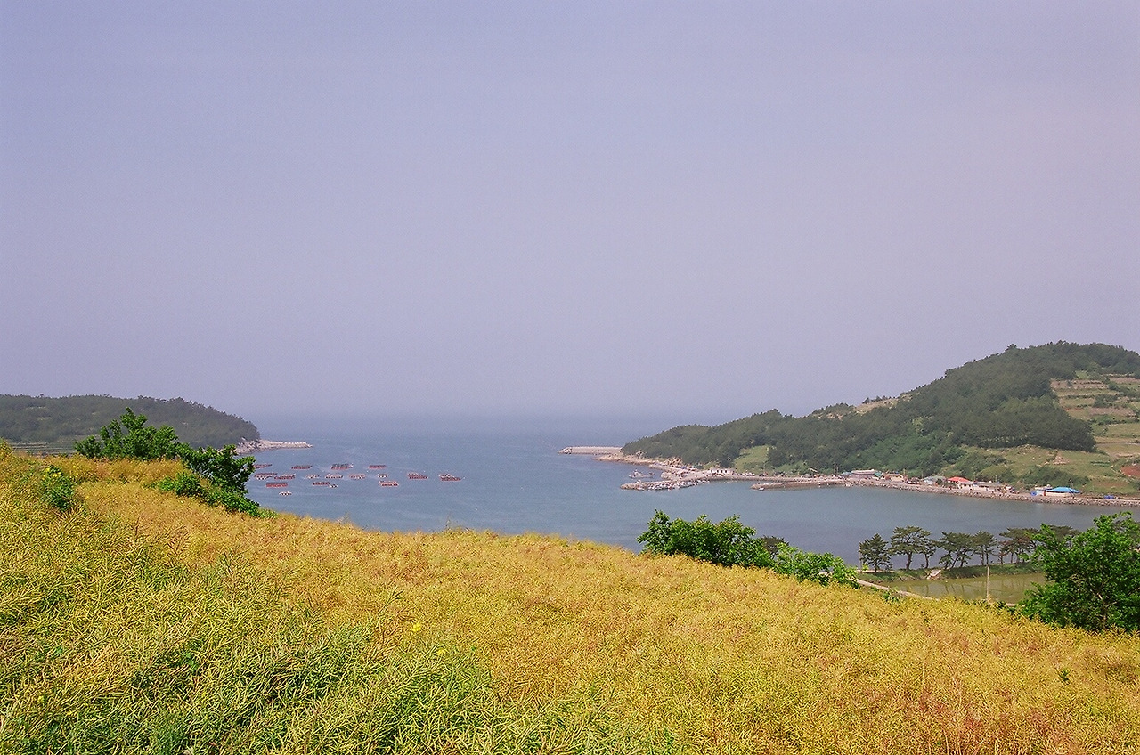 청산도바다3.jpg