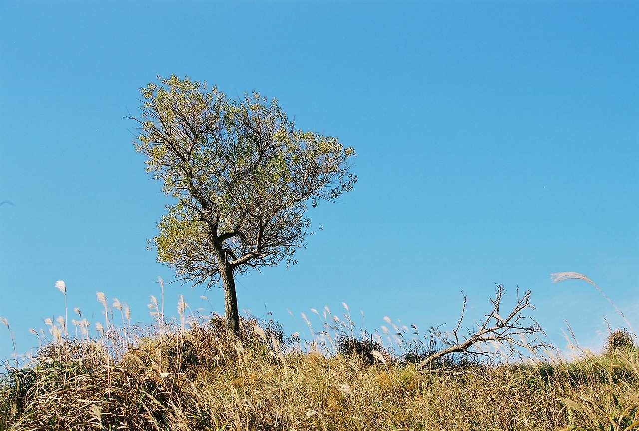외로움을 날리며....jpg
