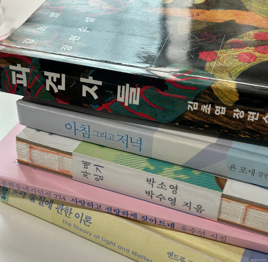 카지노 게임 사이트