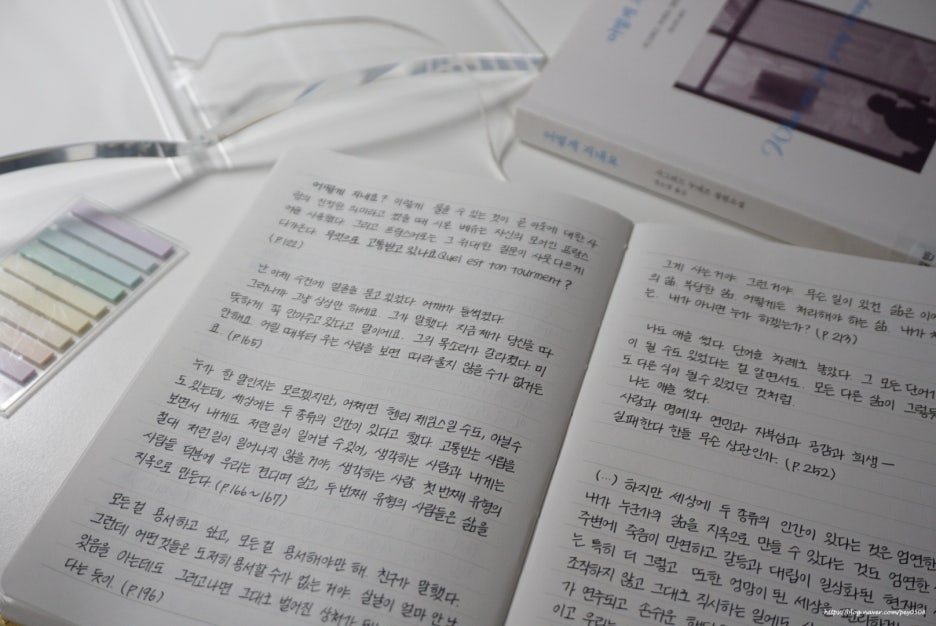 카지노 게임