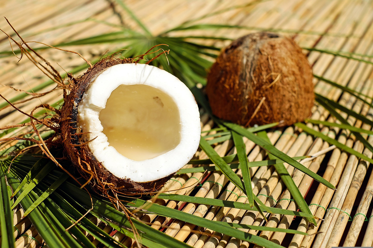 coconut-gbc927147d_1920.jpg