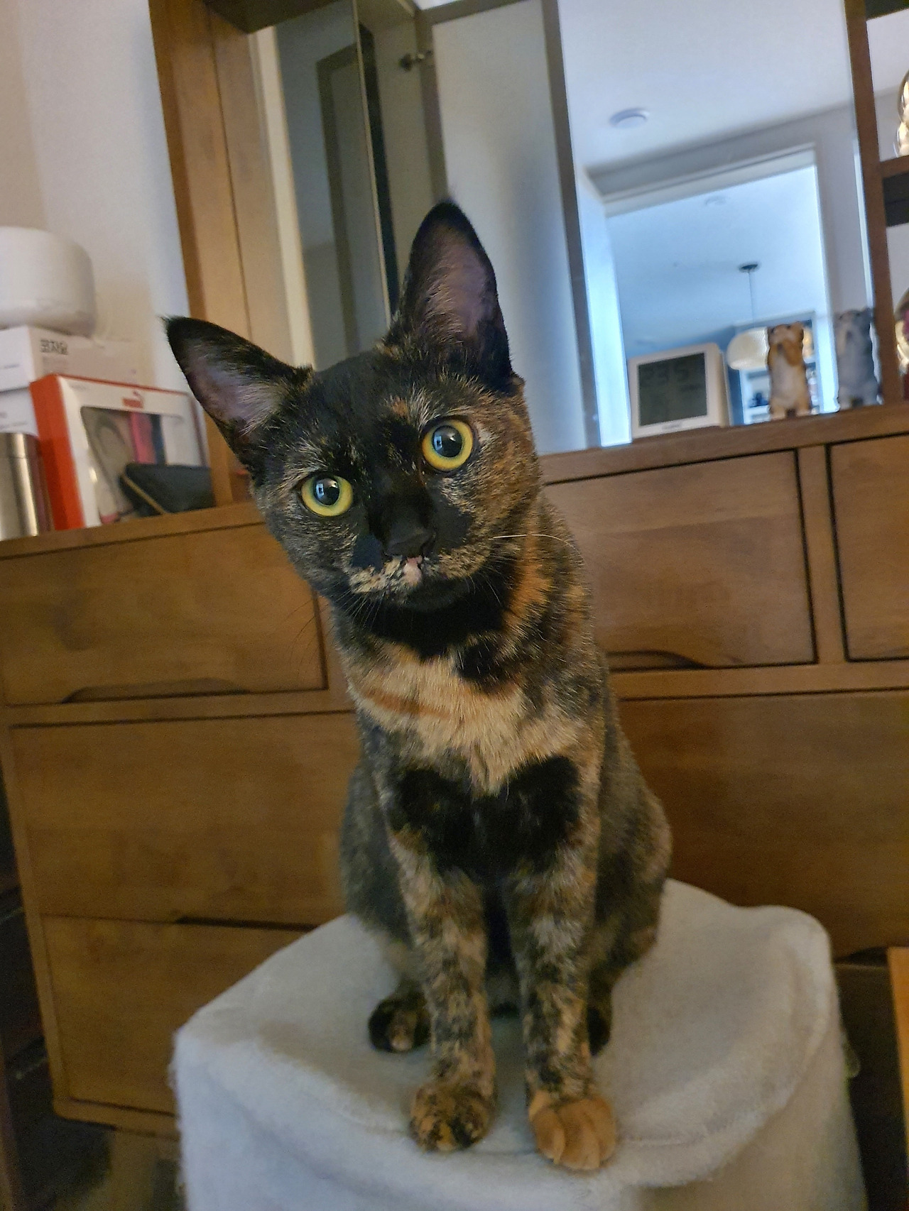 20211110_235023 (1).jpg