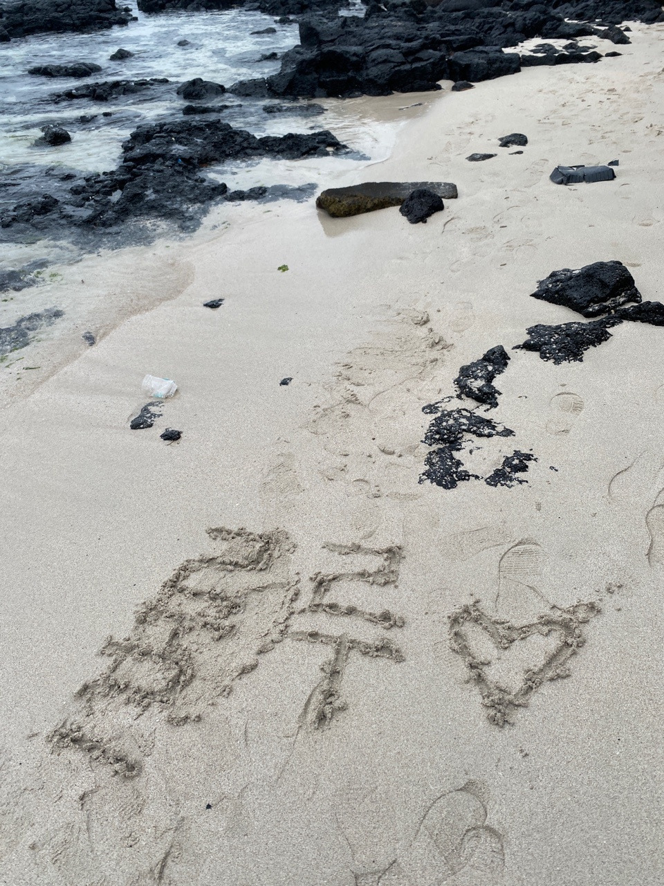 백사장 룰루.jpg