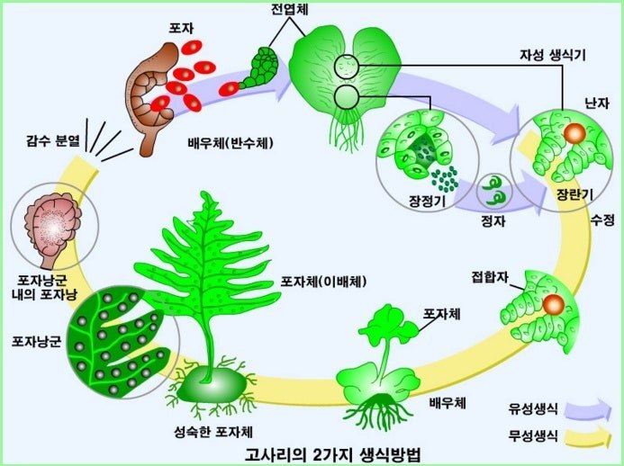 카지노 게임 추천