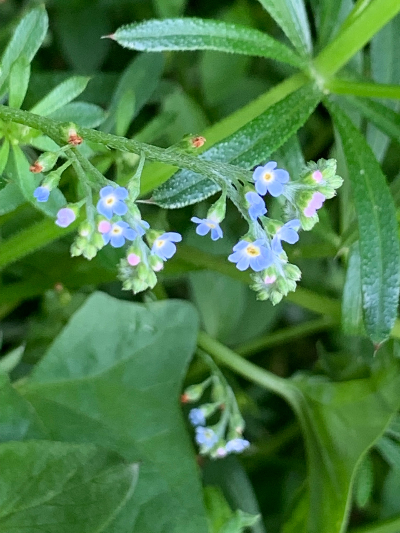 KakaoTalk_20251206_155018436_07 (1).jpg